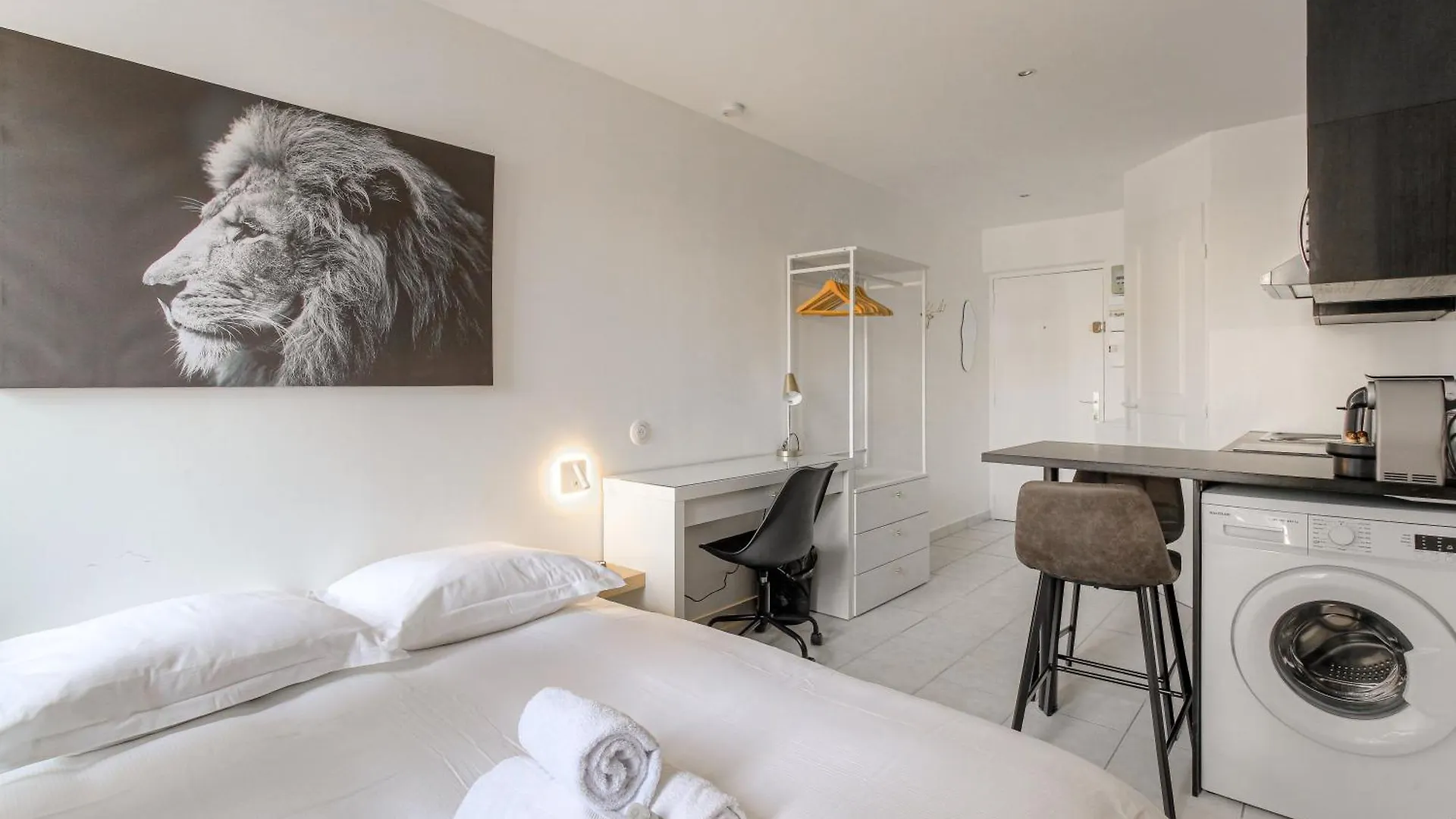 Apartman Lionne-Stade Du Lou Lyon