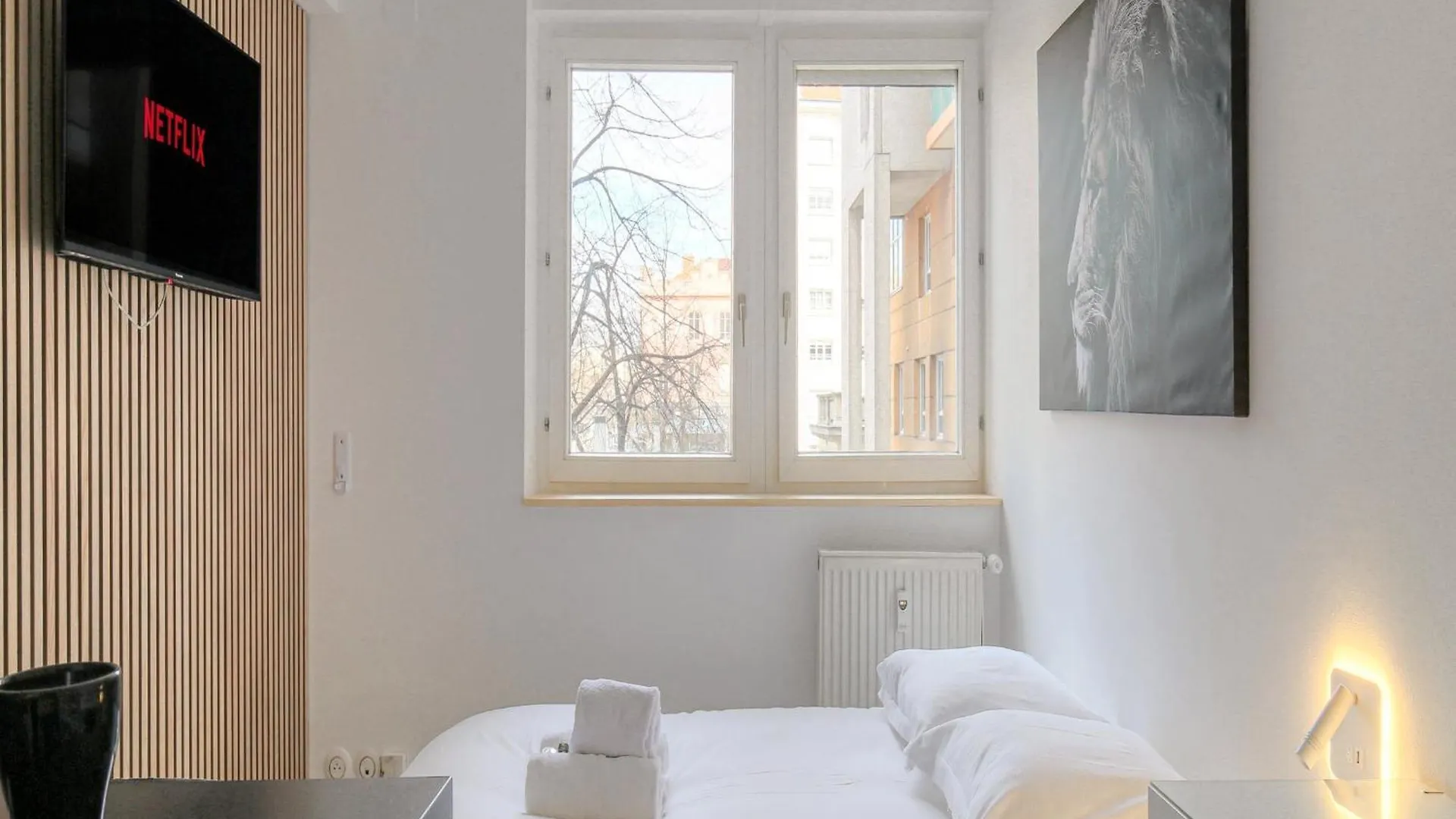 Appartement Lionne-Stade Du Lou Lyon