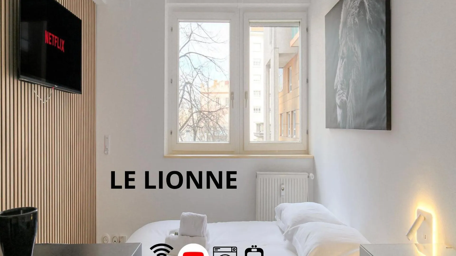 Lionne-Stade Du Lou Lyon Appartement